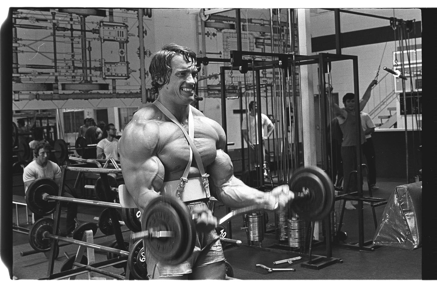 Arnold Schwarzenegger Arnold Schwarzenegger